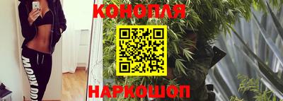 молекула духа Можайск